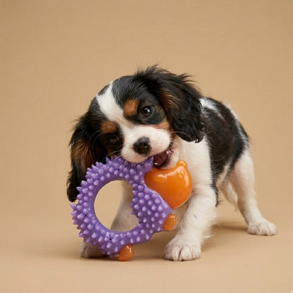 Divanoxcosh Hedgehog Dental Chew - The Ultimate Multi-Surface Texture Toy for Small Dogs, Ultra-Durable Interactive Ring for Fetch, Play & Oral Care